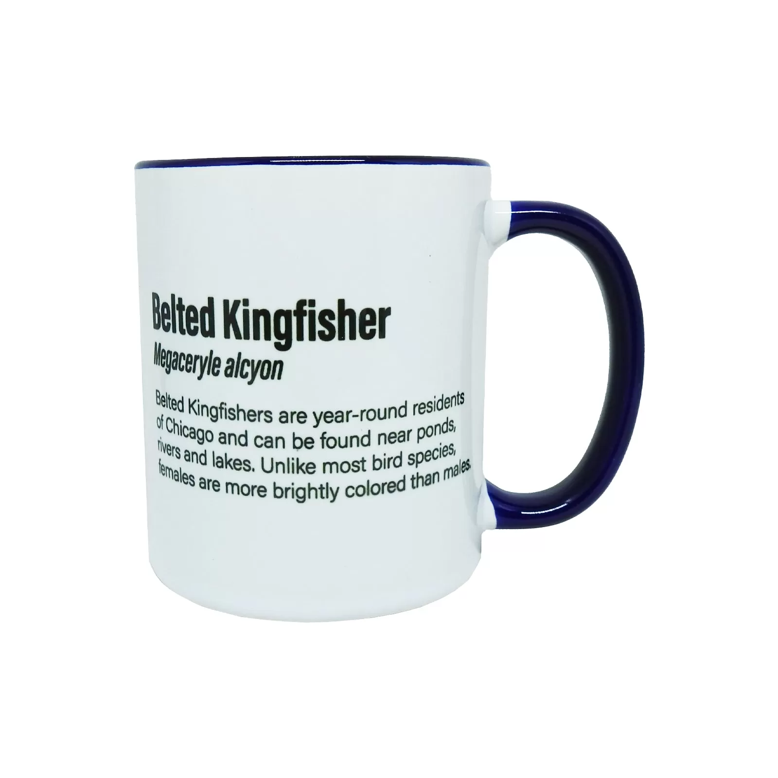 Belted Kingfisher Mug