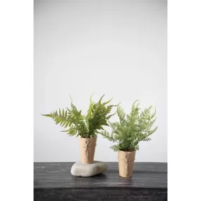 Faux Fern In Paper Wrapped Pot - Thin Leaf