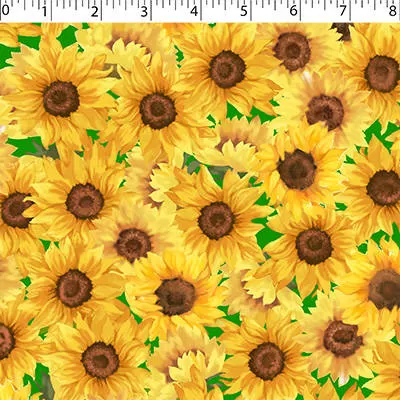 SUNFLOWER MEADOW - SUNFLOWERS