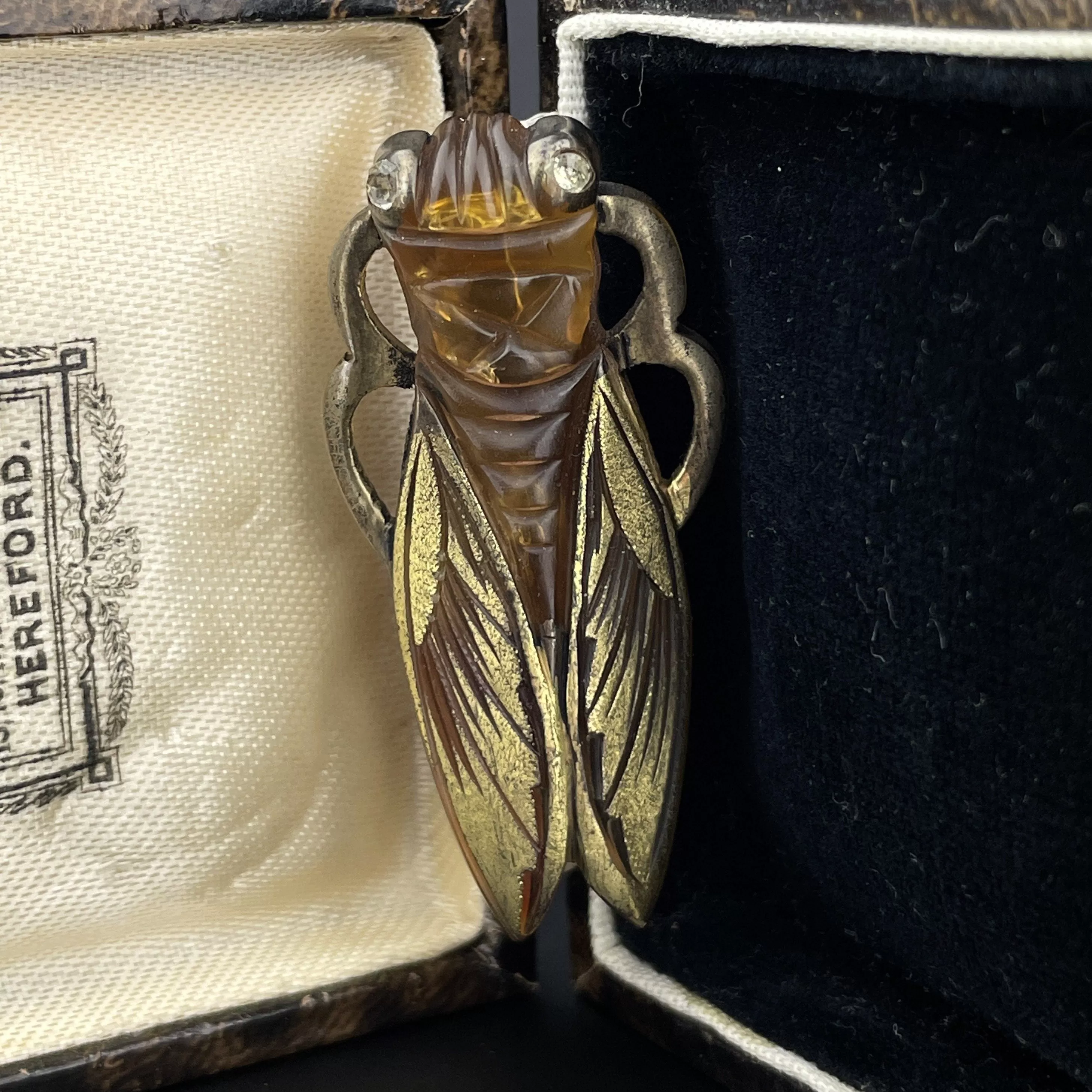 Vintage Art Deco Carved Horn Cicada Bug Brooch